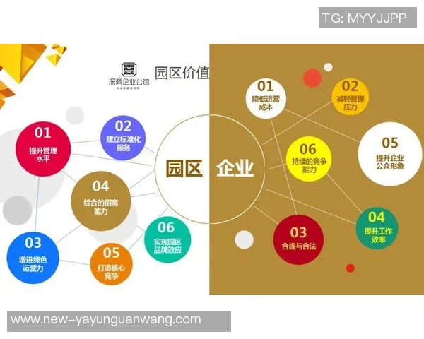 成都排球队的排球战术与运营体系探讨及其对竞技水平的提升分析MBA